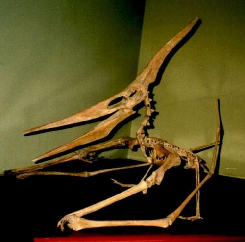 Какие техники выпиливания лобзика из фанеры существуют