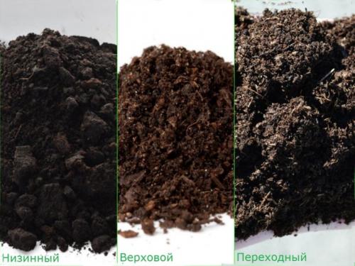 Торфяные брикеты для отопления. Что это и из чего делают? 02