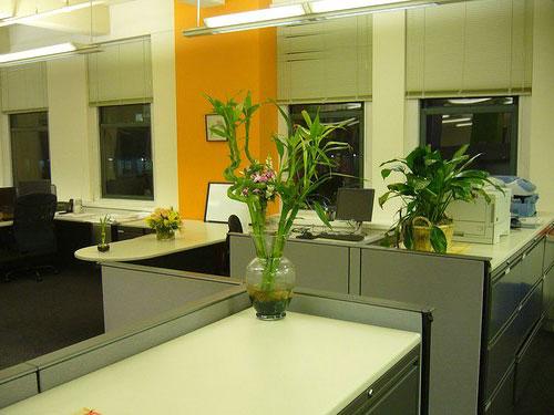 Фен-шуй рабочего места для привлечения денег. Как привлечь деньги в офис по фен-шуй