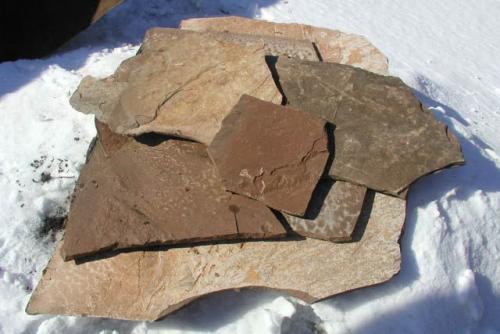 Камни для ландшафтного дизайна: советы по выбору, популярные виды и особенности применения 18