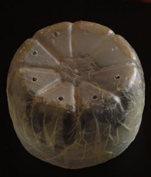 Вазы и цветочные горшки из пластиковых бутылок. 