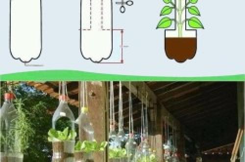 Кашпо из пластиковых бутылок для дачи. Горшки из пластиковых бутылок для цветов