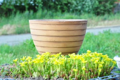 Горшки для цветов своими руками из подручных материалов. Горшки для цветов своими руками — лучшие идеи и рекомендации, как и из чего лучше всего сделать горшки для цветов (85 фото)