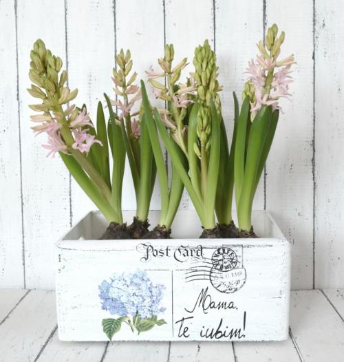 Горшки для цветов своими руками из подручных материалов. Горшки для цветов своими руками — лучшие идеи и рекомендации, как и из чего лучше всего сделать горшки для цветов (85 фото)