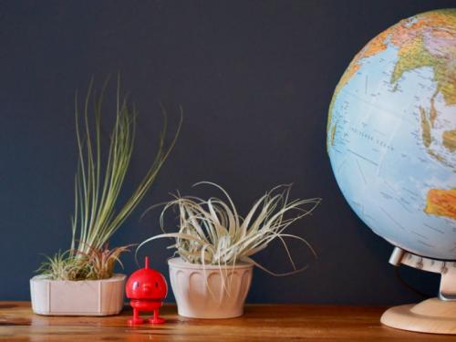 Вазоны для цветов из бутылок своими руками. Кашпо из пластиковых бутылок 28