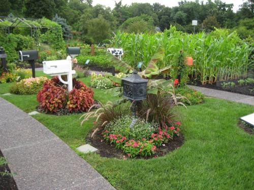 Идеи для клумбы. Клумба своими руками — роскошные идеи дизайнеров и советы по дизайну и оформлению (105 фото)