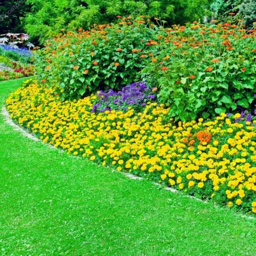 Модные и оригинальные решения оформления цветочных клумб. Красивые клумбы — варианты оформления, правила организации, выбор места, советы новичкам + 99 фото