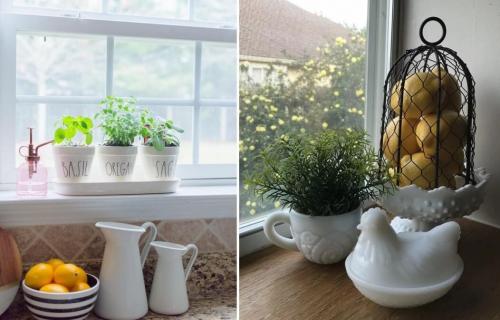 Чем украсить подоконник помимо горшков с цветами.. Декор подоконника комнатными растениями 04