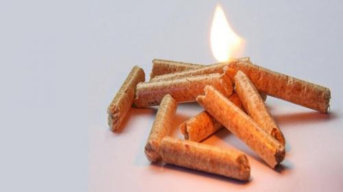 Производство пеллет в гараже. Обзор рыночного сегмента и нюансов деятельности