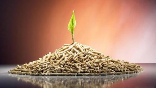 Производство пеллет в гараже. Обзор рыночного сегмента и нюансов деятельности