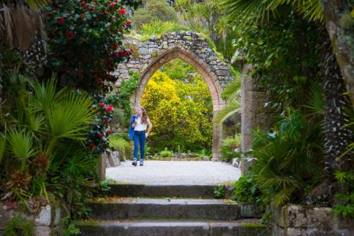 Арка садовая своими руками. Садовая арка — советы и инструкции по постройке своими руками (120 фото-идей)