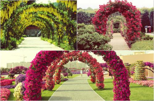 Арки для цветов — конструкция, самостоятельное изготовление, подбор растений + 79 фото