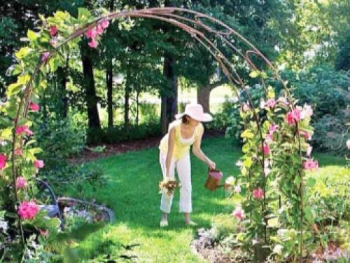 Садовая арка для цветов на даче своими руками. Видовое разнообразие конструкций и их место в саду 10