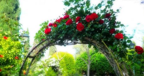 Арки для цветов — конструкция, самостоятельное изготовление, подбор растений + 79 фото