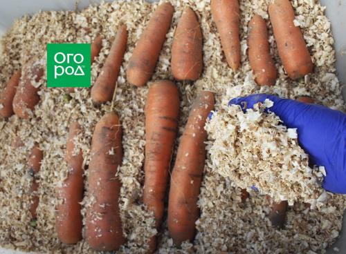 Пластиковые погреба: выбор, который не подведет 17