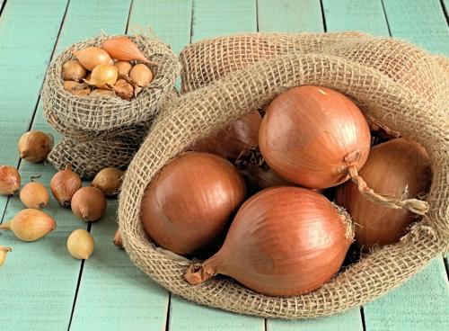 Установить пластиковый погреб на даче: простой способ обеспечить безопасность и удобство 18