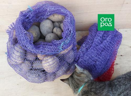 Установить пластиковый погреб на даче: простой способ обеспечить безопасность и удобство 16