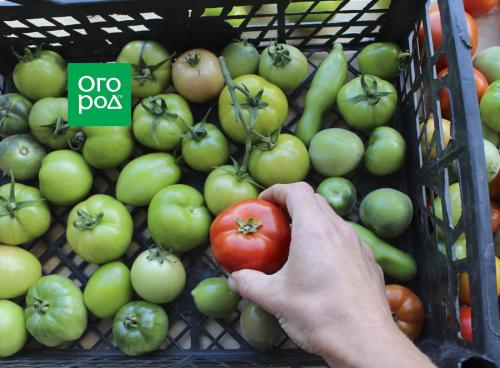 Пластиковые погреба: выбор, который не подведет 15