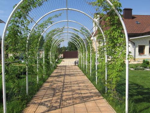 Арка садовая в ландшафтном дизайне дачи. Дерево, металл или ковка –, что выбрать?