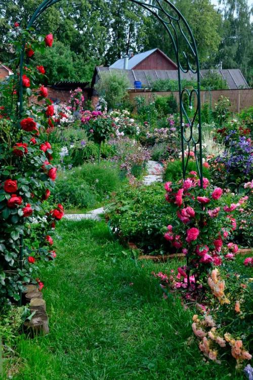 Арка во дворе. Красивая садовая арка: стильные и оригинальные арки и их применение в ландшафтном дизайне (95 фото + видео)