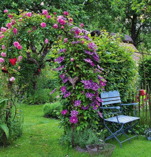 Арка садовая в ландшафтном дизайне дачи. Дерево, металл или ковка –, что выбрать?