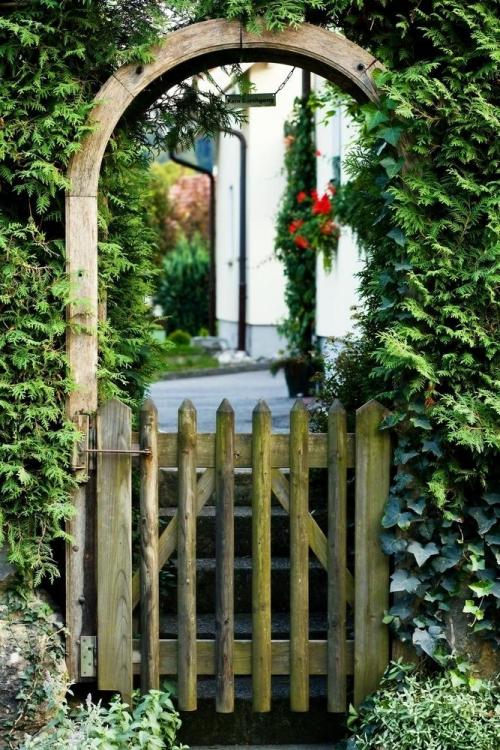 Арка садовая в ландшафтном дизайне дачи. Дерево, металл или ковка –, что выбрать?