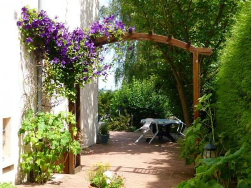 Цветы ползущие по стене. Общие рекомендации желающим украсить забор, строения, участок.