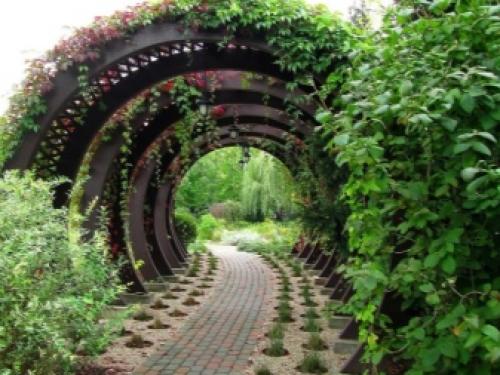 Арка из дерева для сада. Где располагаются арки? 05