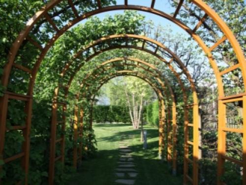 Арка из дерева для сада. Где располагаются арки? 04