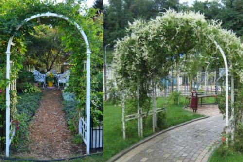 Садовая Арка из пластиковых труб своими руками. Как сделать арку из пластиковых труб в саду