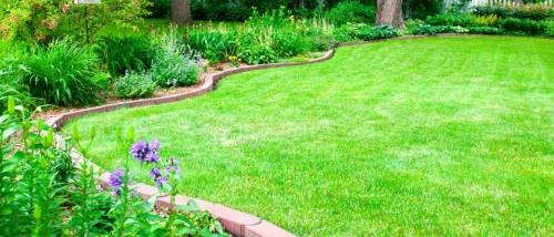 Заборчики для клумб из подручных средств. Пошаговое руководство создания заборчика для цветника или клумбы своими руками из подручных средств