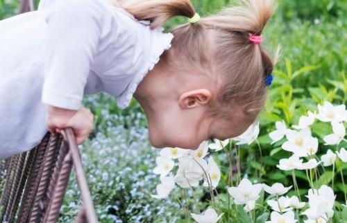 Заборчики для клумб из подручных средств. Пошаговое руководство создания заборчика для цветника или клумбы своими руками из подручных средств