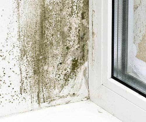 Можно ли ставить пластиковые окна в неотапливаемый дом: Преимущества и недостатки 03