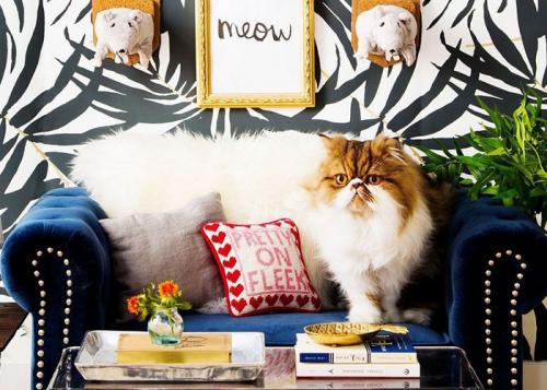 Обои в спальню со светлой мебелью. Цвет 05