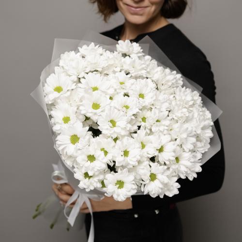 Какие альтернативы можно использовать вместо натуральных лепестков роз. Какие цветы подарить вместо роз: 5 альтернатив