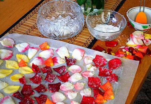 Как сохранить лепестки роз после фотосессии, чтобы они выглядели свежо. Для чего засушивают розы