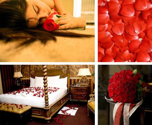 Лепестки роз для кровати: как создать романтическую атмосферу 11