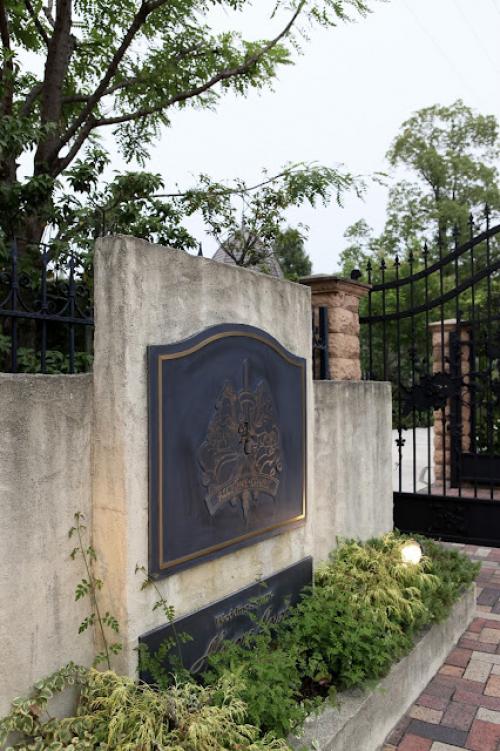 Можно ли использовать искусственные лепестки роз для фотосъемки. Фотосессия с лепестками роз