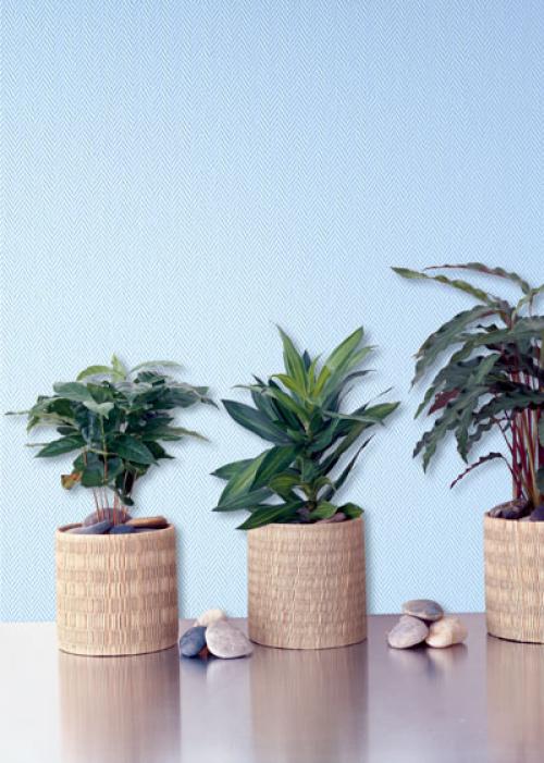 Основные виды экологичных обоев и правила их выбора. Подходящие варианты 04 Основные виды экологичных обоев и правила их выбора. Подходящие варианты 04