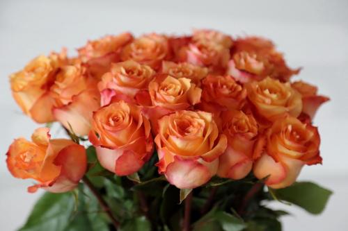 Почему букет роз на постели – это идеальный романтический жест 07