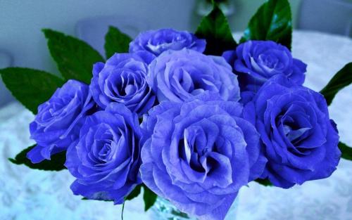 Почему букет роз на постели – это идеальный романтический жест 08