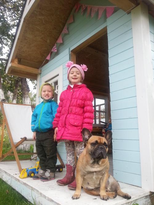 Нужно ли учитывать предпочтения ребенка при дизайне детского домика на даче. Детский домик на участке