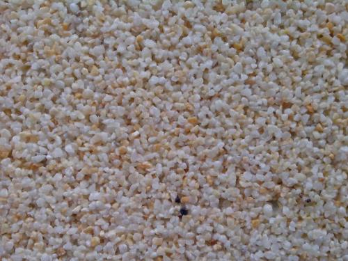 Как выбрать подходящий способ нанесения каменной текстуры на стену. Что такое камешковая декоративная штукатурка