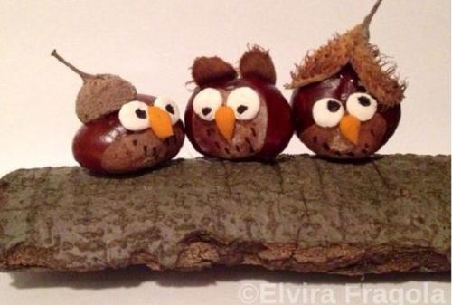 Какие поделки из природного материала станут отличным подарком на осень 2024. Растительные материалы