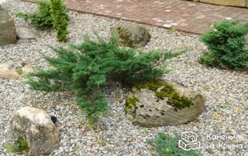 Каковы туристические возможности для изучения морской гальки и меотиса. Морская галька и меотис – лучший материал для ландшафтного дизайна