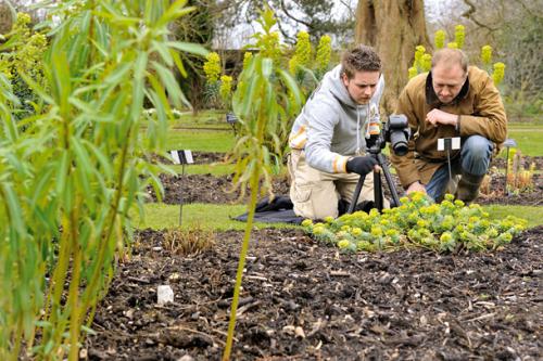Цветы в постели: как добавить романтики вашему интерьеру с помощью фотографий 01