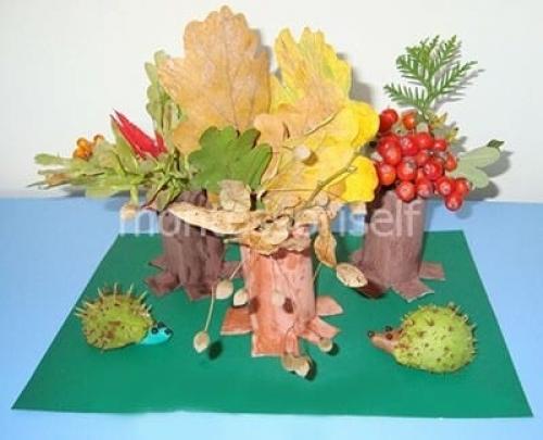 Поделки из природного материала на картоне. Поделка из природного материала в садик: 100 идей с пошаговым фото