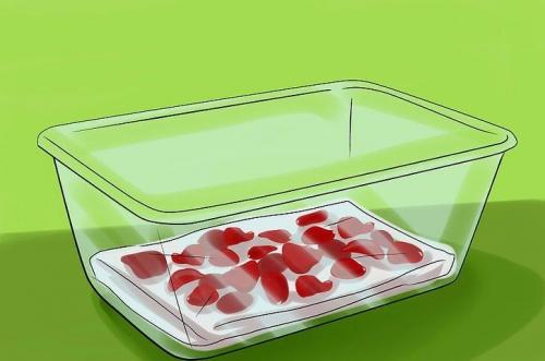 Лепестки роз и розы букет: как создать романтическую аранжировку на кровати 18