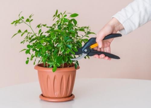 Как цветы на кровати могут преобразить ваш дом 01