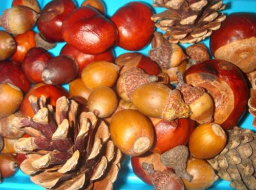 Осенние поделки в садик своими руками. Осенние поделки для детского сада и школы, созданные своими руками (все новинки) 36